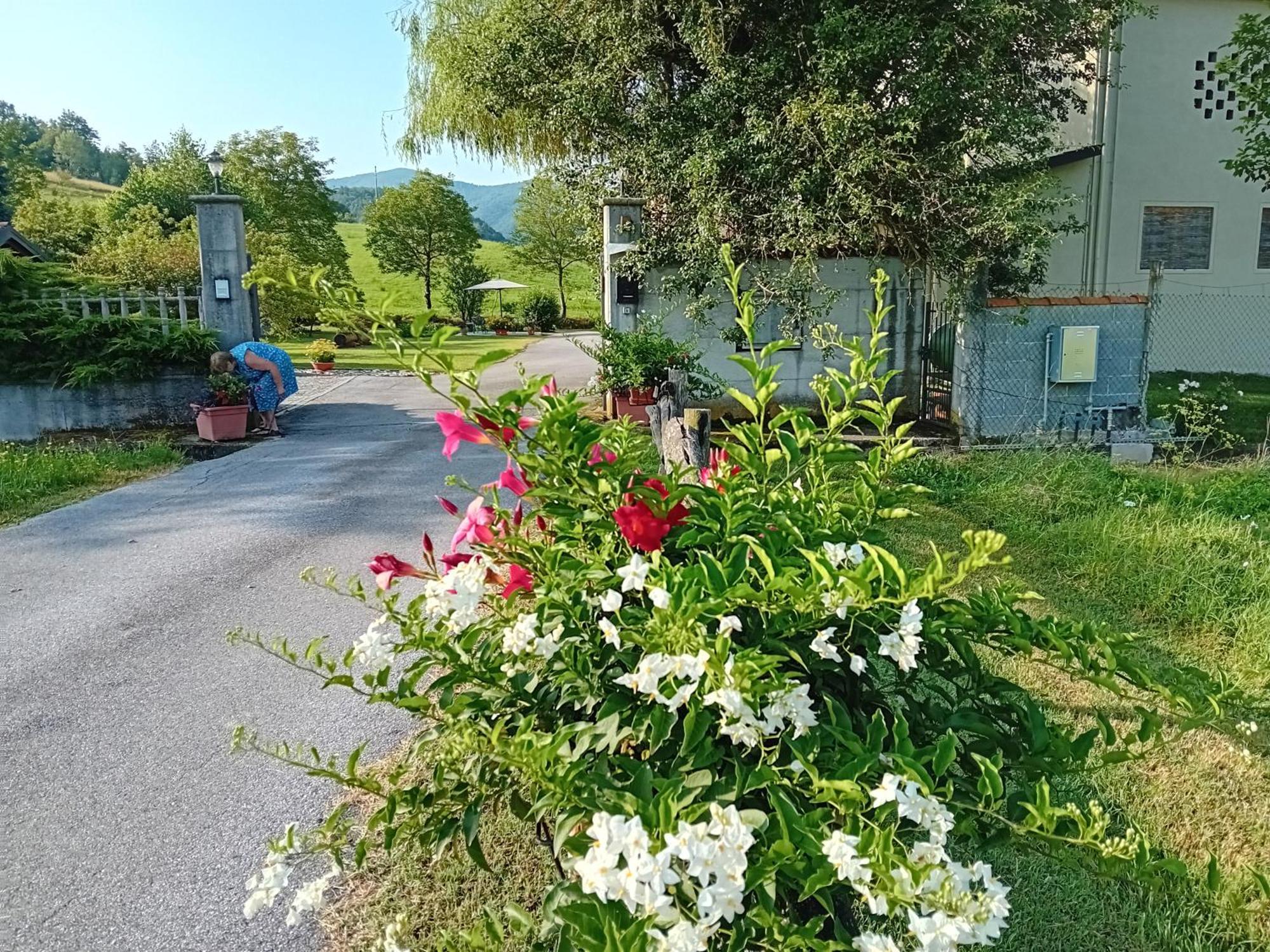 Bed and Breakfast L'Isola Dla Cerrea Mombasiglio Exterior foto